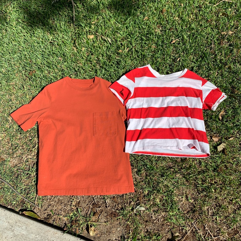 Set of two Everlane Tees